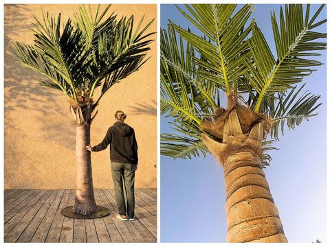 PALMIER PHOENIX ARTIFICIEL GEANT 3.2 M ? D�STOCKAGE 590 Saint-Maximin-la-Sainte-Baume (83)