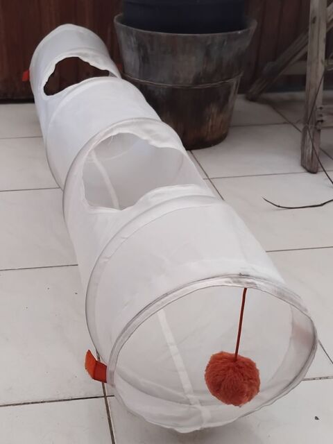 Tunnel pour amuser les chats 10 97300 Cayenne