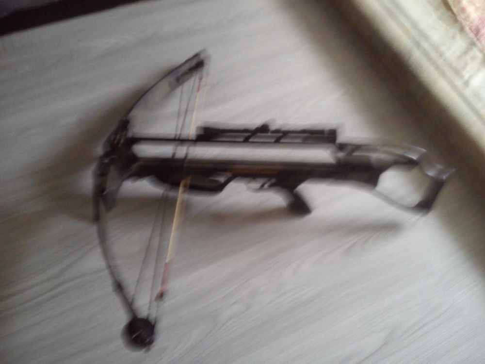 archerie Sports