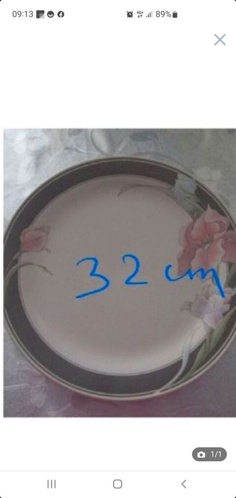 plat � g�teaux du japon 5 Bron (69)