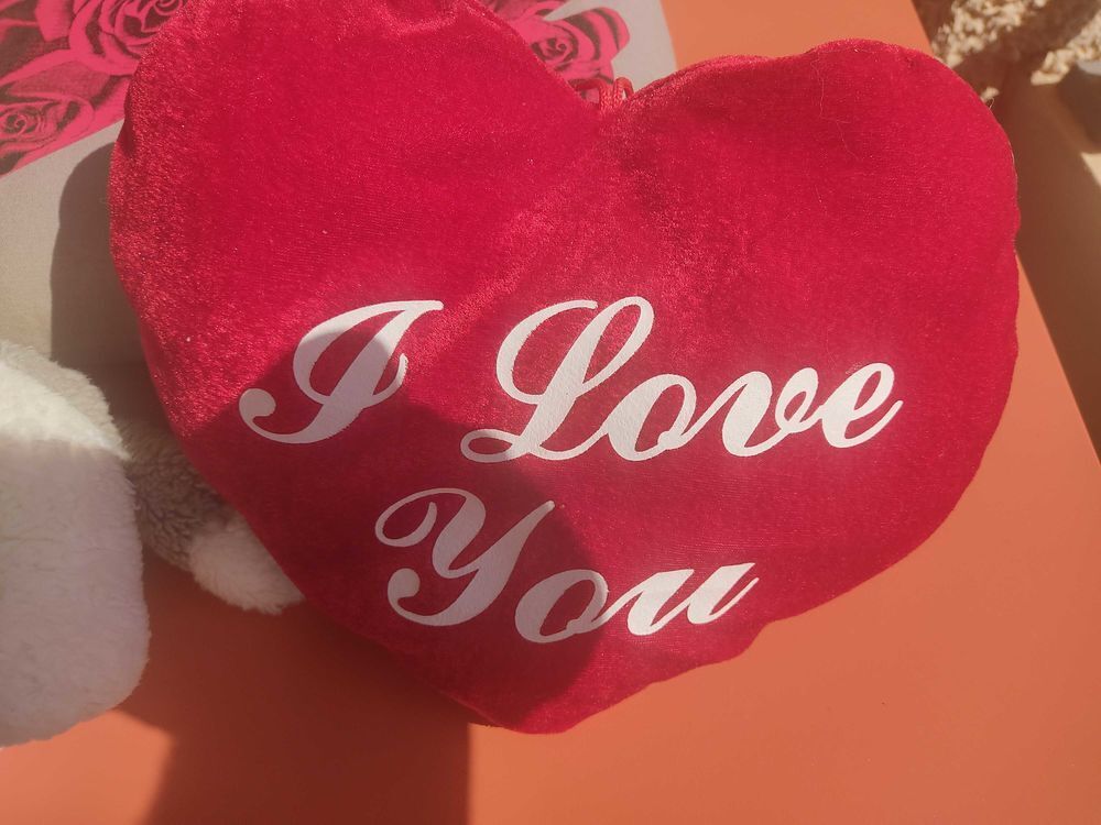 Lot peluche et coussin Décoration