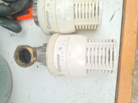 Robinet thermostatique cosmap Sens (89)