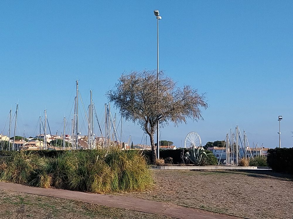 Vente Appartement Studio cabine au CAP D'AGDE, secteur Richelieu Agde