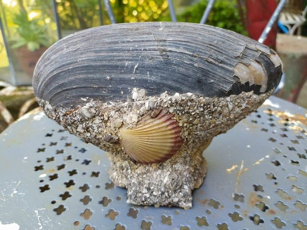 Souvenir D&eacute;but XX&egrave;me Encrier Coquillage Peint Paquebot 