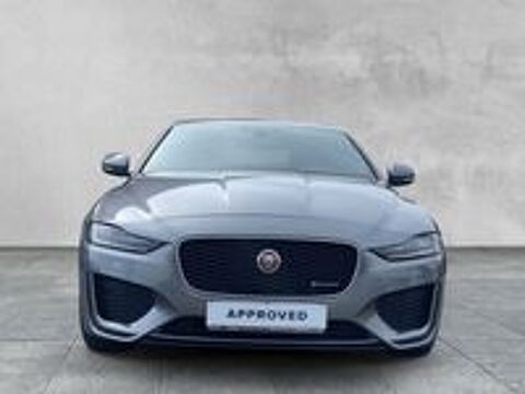 XE D180 BVA R-Dynamic SE 2019 occasion 38440 Saint-Jean-de-Bournay