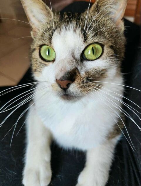 Lilo 190 59000 Lille