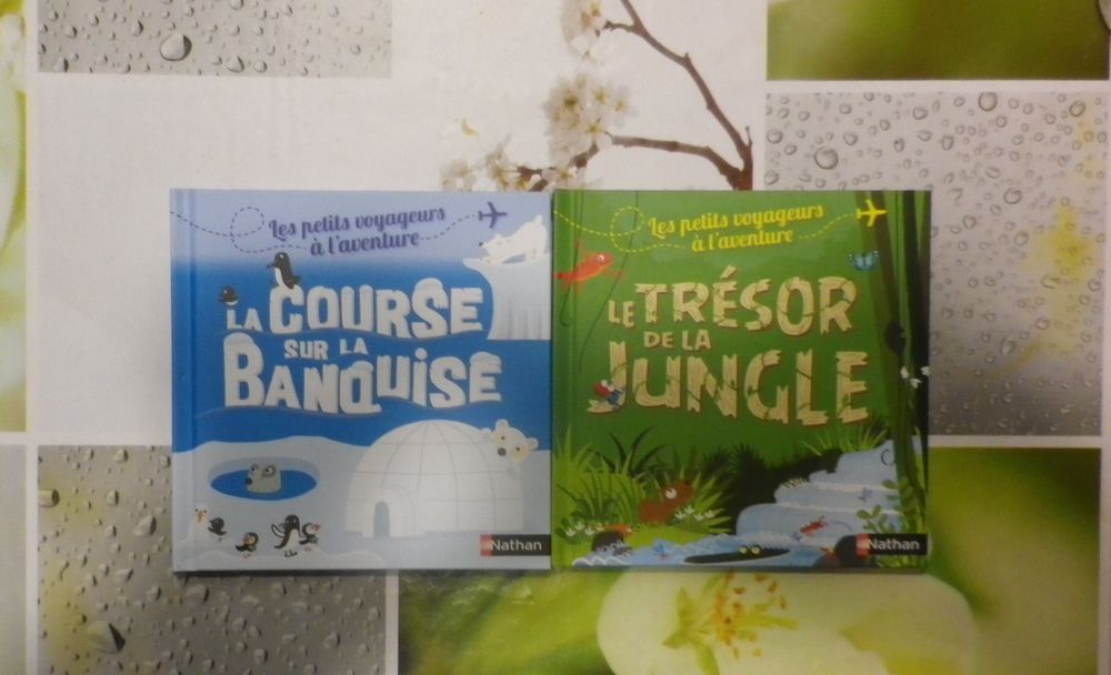 LOT DE 4 LES PETITS VOYAGEURS A L'AVENTURE NATHAN Livres et BD