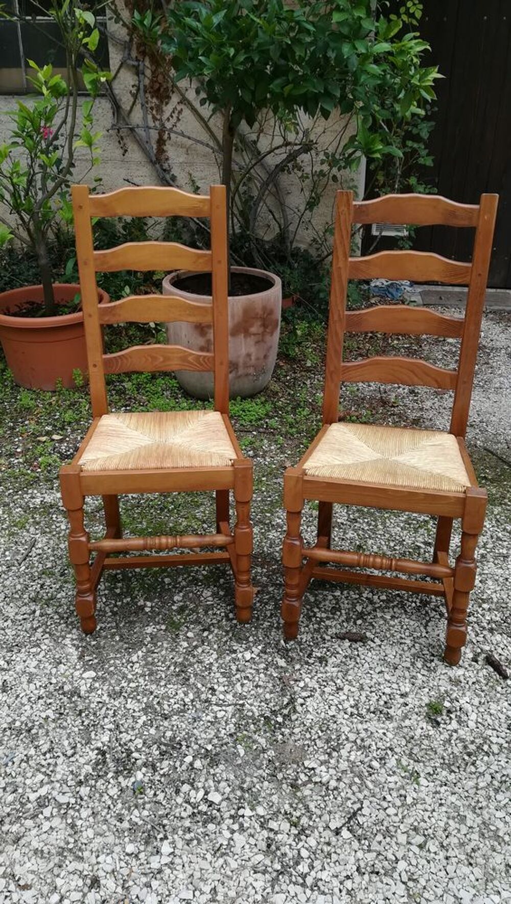 Chaises Meubles
