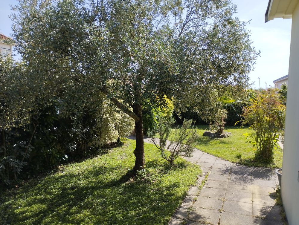 Location Maison Maison individuelle avec jardin + garage au Landreau Le landreau