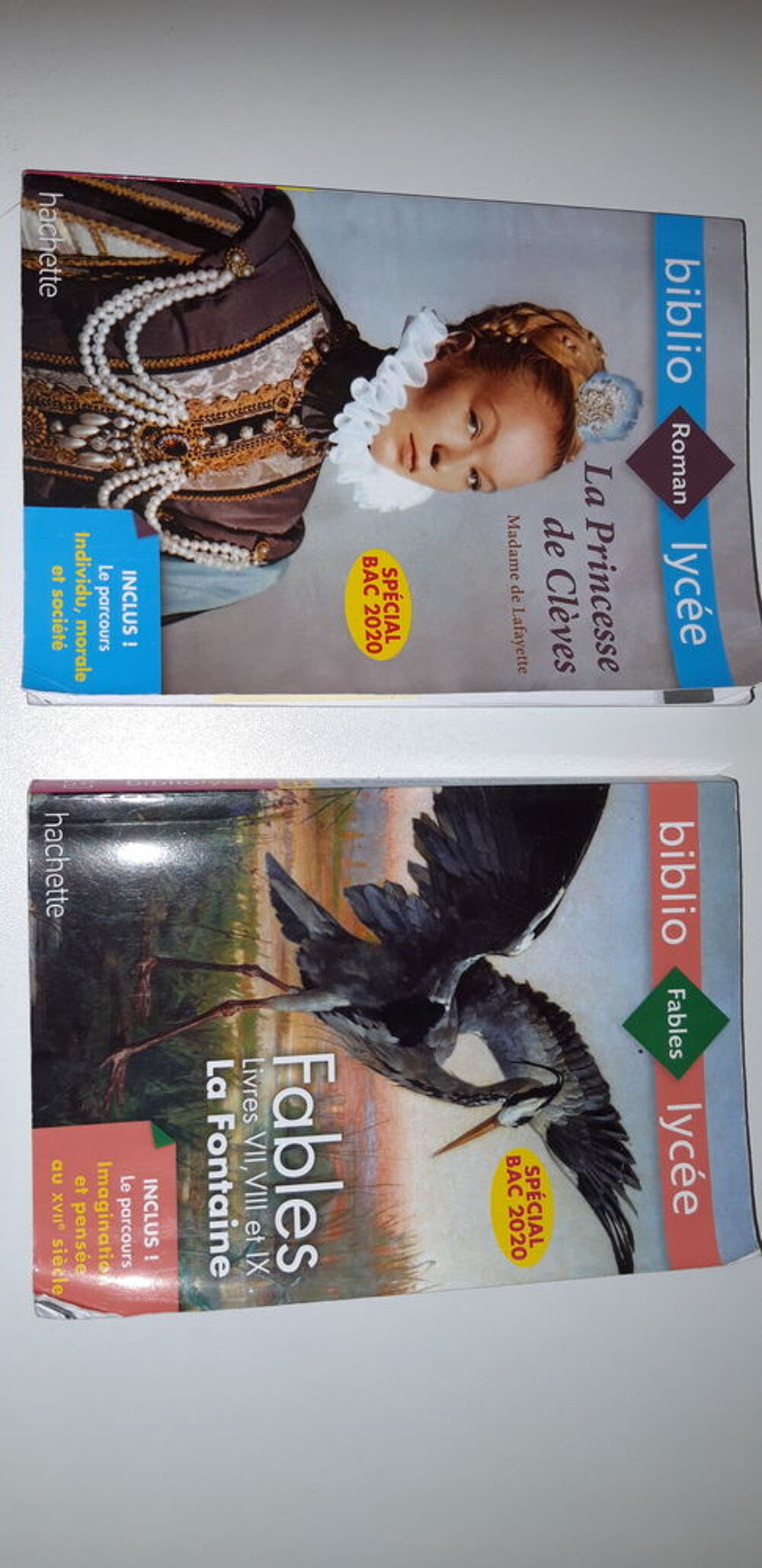 livres de 1STMG du lyc&eacute;e Joseph Pernock. Livres et BD