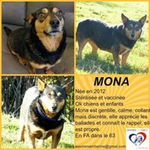   MONA cherche sa famille 