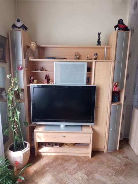 Meuble TV 50 Villeurbanne (69)