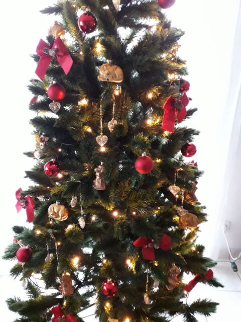 Sapin slim vert 2,15m 99 Séné (56)