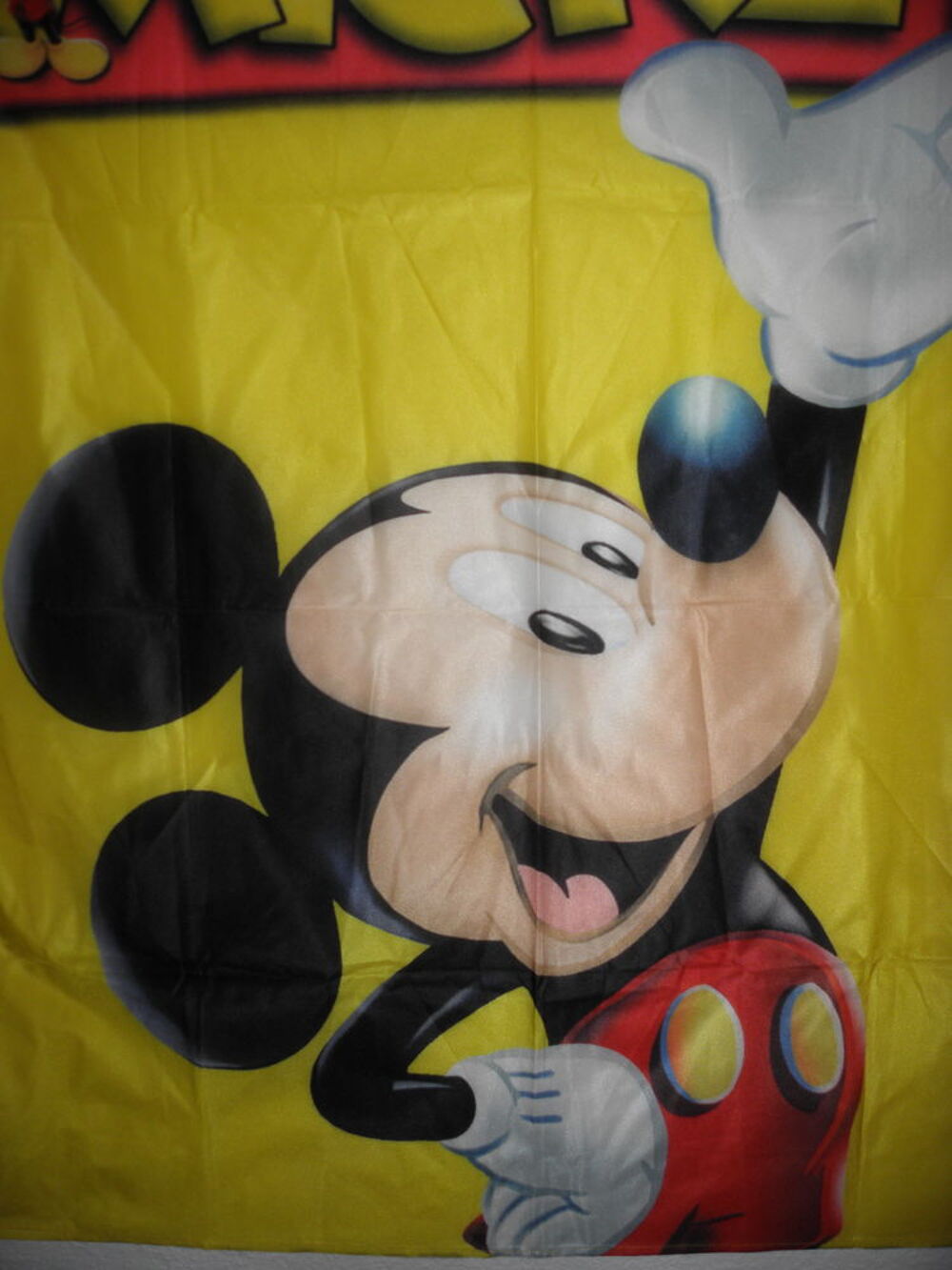 Grande toile Mickey 