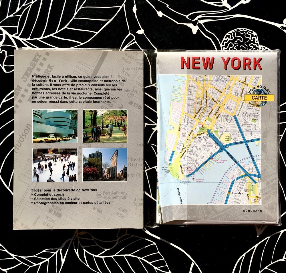 NEW YORK , Guide "&nbsp;Bon Voyage&nbsp;" , 130 pages + grande Carte Livres et BD