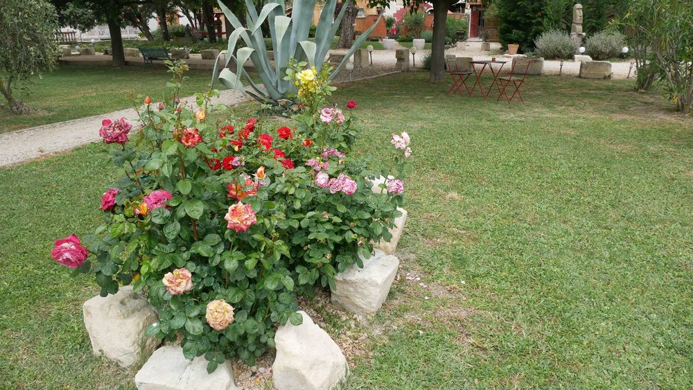 � vendre  Propri�t�/ch�teau Tarascon (13150)