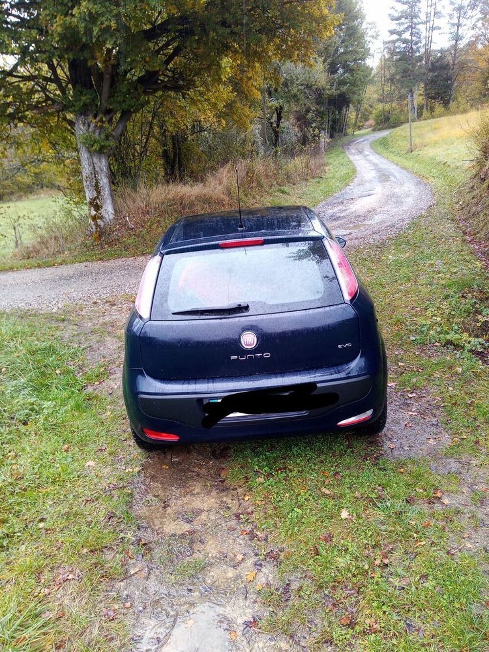 Punto Evo 1.3 Multijet 16V 85 S&S DPF 90g Dynamic 2011 occasion 09300 Villeneuve-d'Olmes