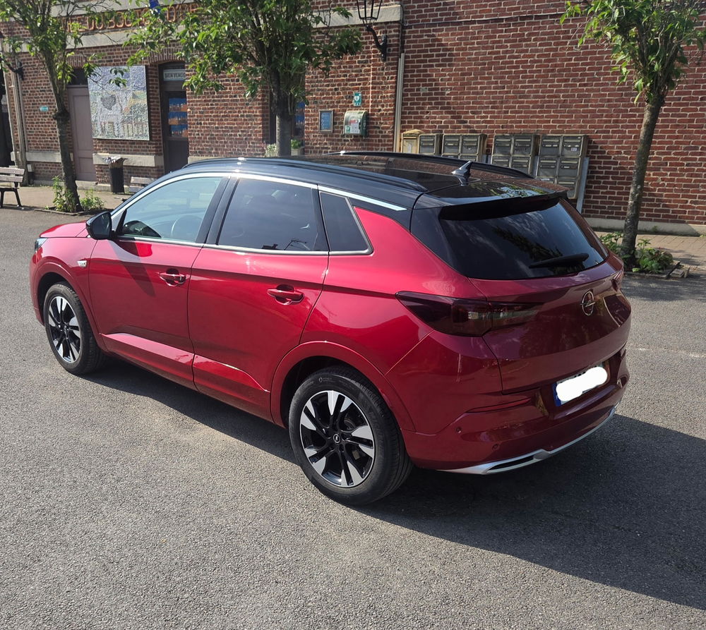 Grandland 1.5 Diesel 130 ch BVA8 Elegance Business 2022 occasion 59400 Cambrai