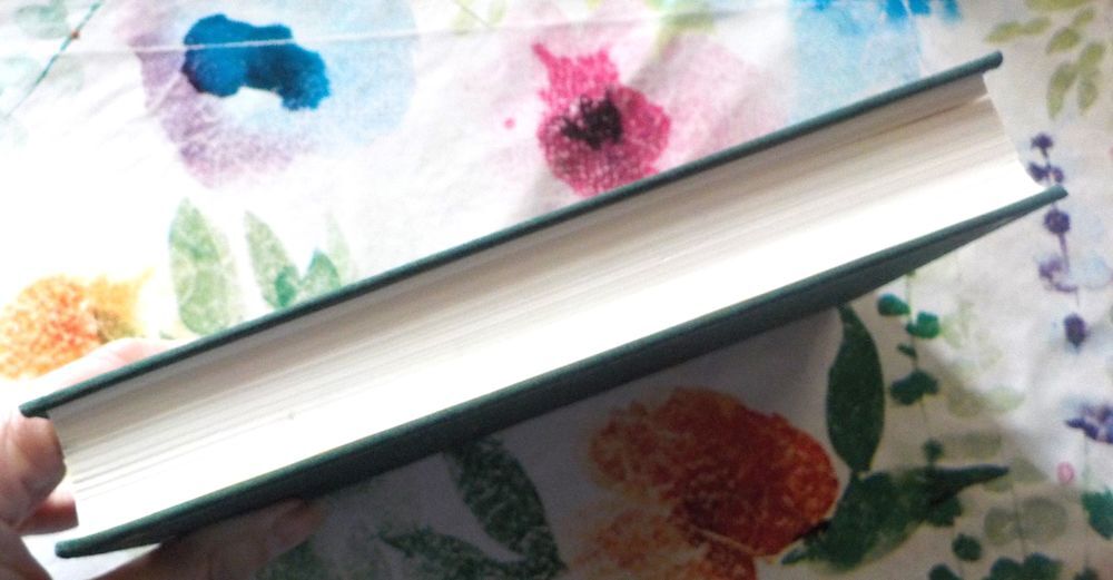 DANS UN GRAND VENT DE FLEURS de Janine MONTUPET Ed. France L Livres et BD