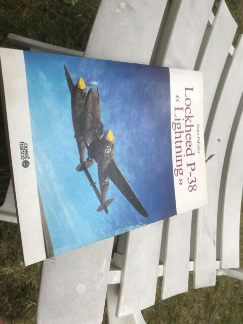 Lockheed P-38 Lightning - Alain Pelletier 8 Haguenau (67)