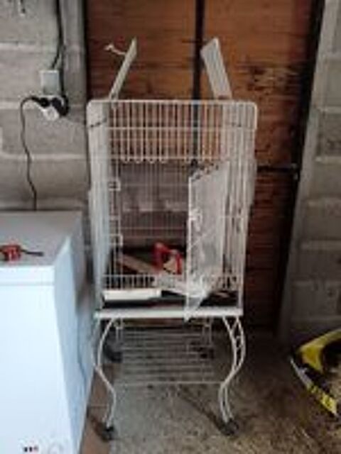   Cage perroquets oiseaux avec accessoires  