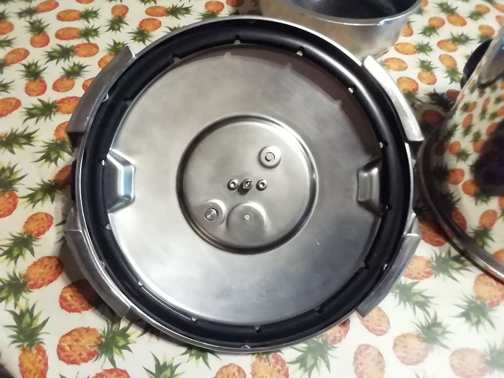 Cocotte SEB clipso 10L tous feux avec induction Electroménager