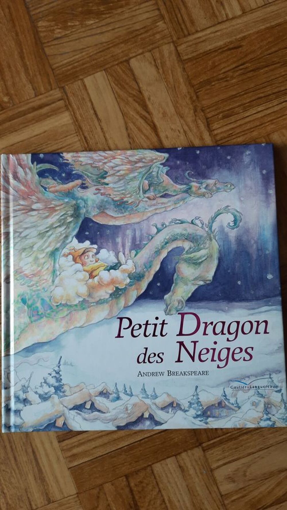 Livre Petit Dragon des Neiges - Album Livres et BD
