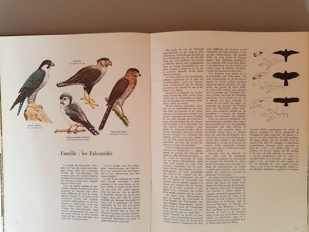 Collection compl&egrave;te encyclop&eacute;die LA FAUNE Livres et BD