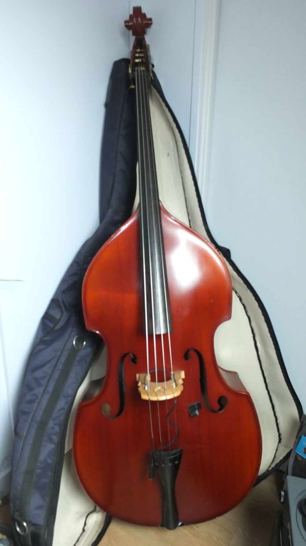 Contrebasse Musima 3/4 Instruments de musique