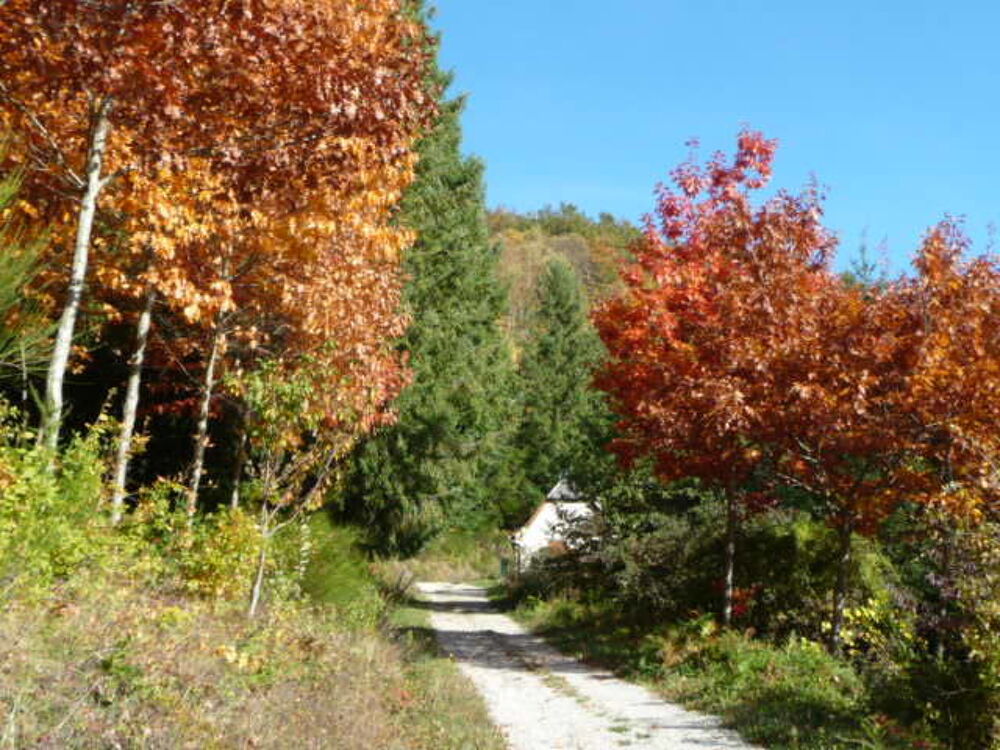   GITE PLEINE NATURE Midi-Pyrénées, Villecomtal (12580)