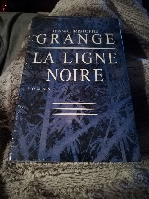 La ligne noire de JC grange 5 Vertaizon (63)