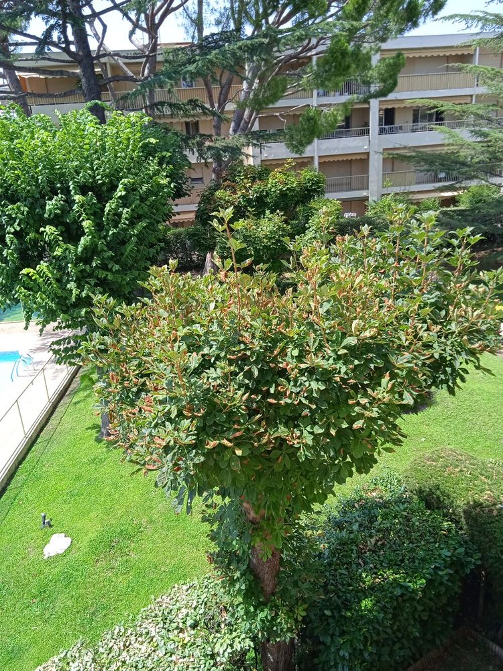 Location Colocation Chambre meublée Salle d'eau privative, terasse 10 M2 Le cannet