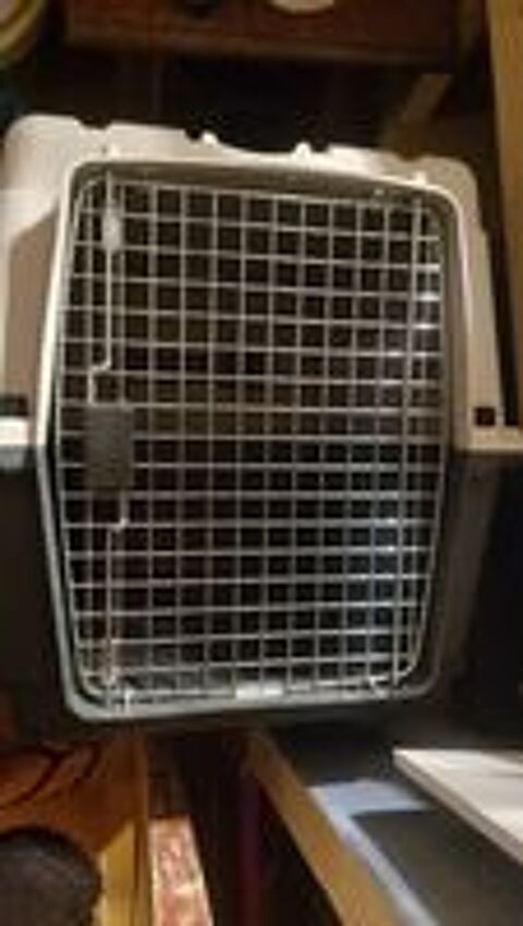   Neuve, caisse de transport grand format chien 