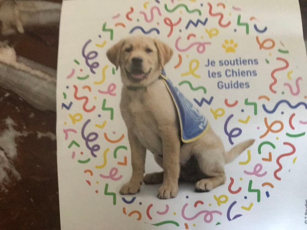 cartes de correspondance + autocollants + marque-pages 