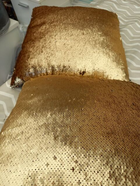 Coussins sequins dors ou argents 7 Flines-lez-Raches (59)