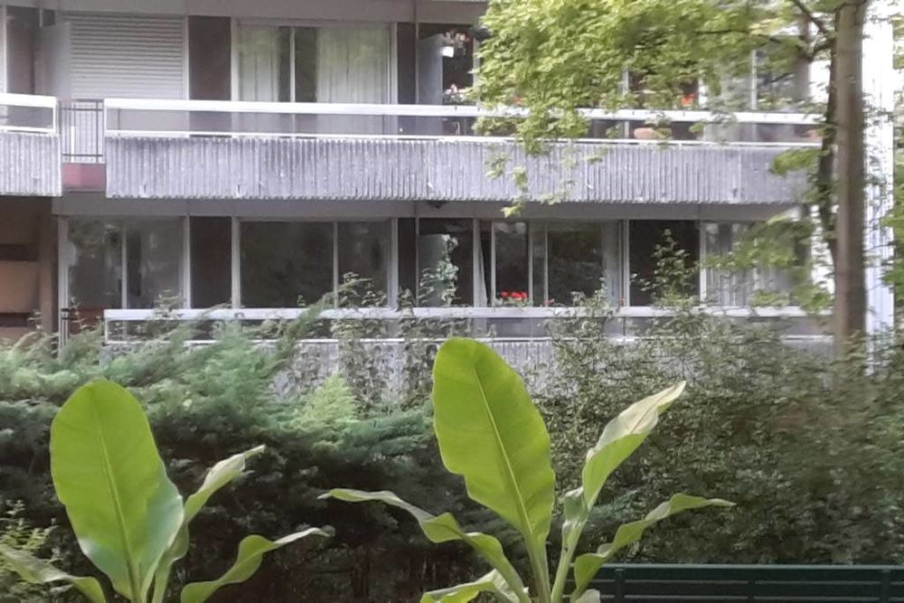 Location Appartement Grand studio vue jardin Paris 15