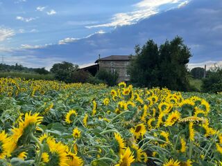  Maison � louer 6 pi�ces 117 m� La motte-de-galaure