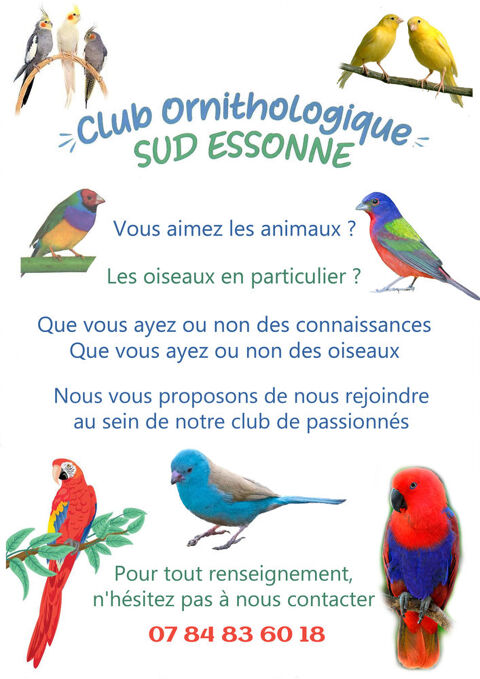 Club D'oiseaux. 0 91580 �tr�chy
