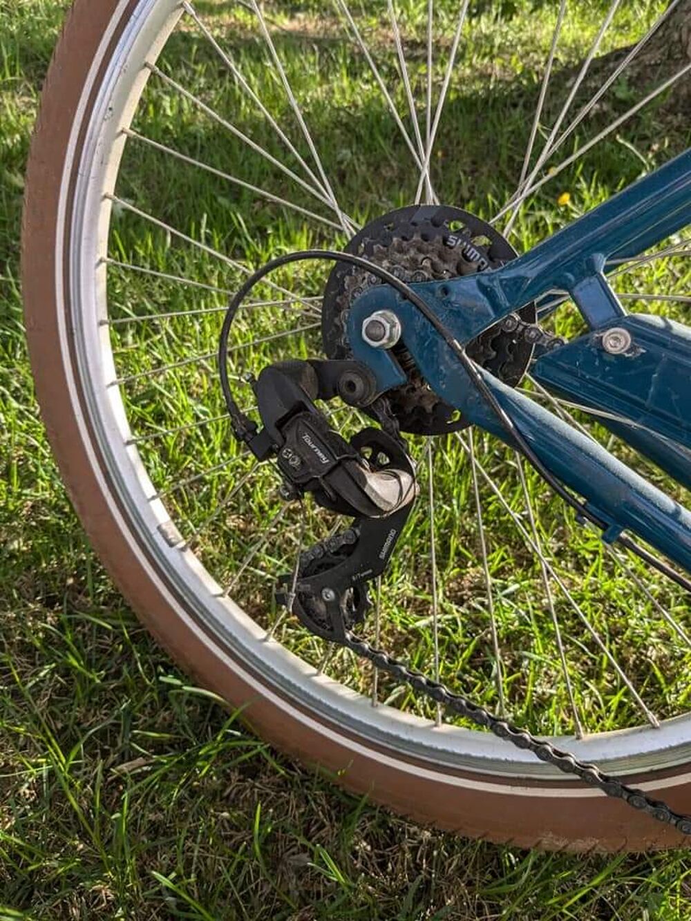 Beach cruiser Vélos
