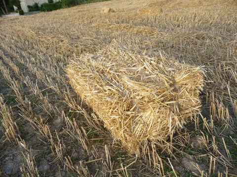 Paille Foin Bio 3 Parthenay (79)