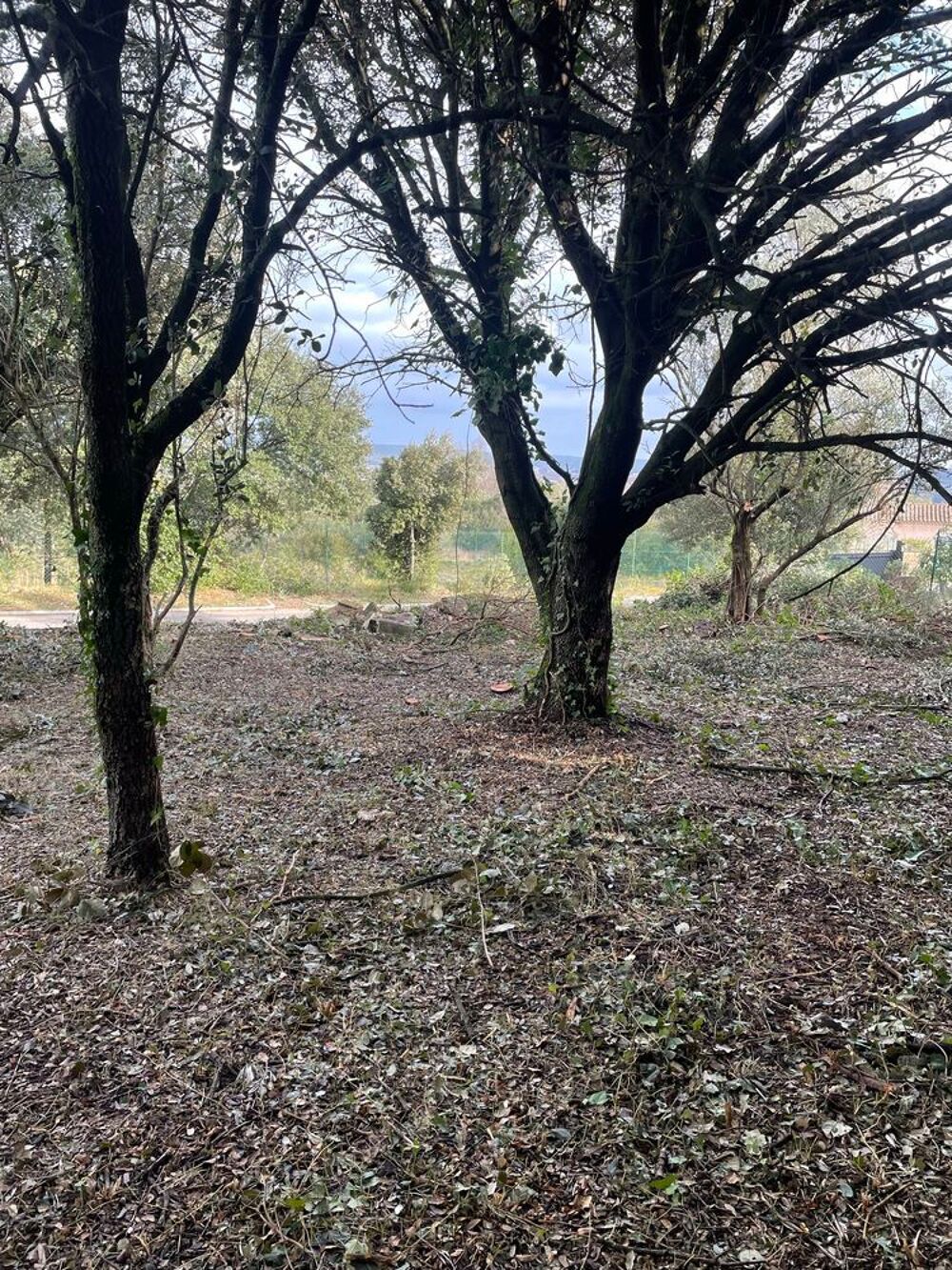 Vente Terrain terrain Collias 400 m2 Collias