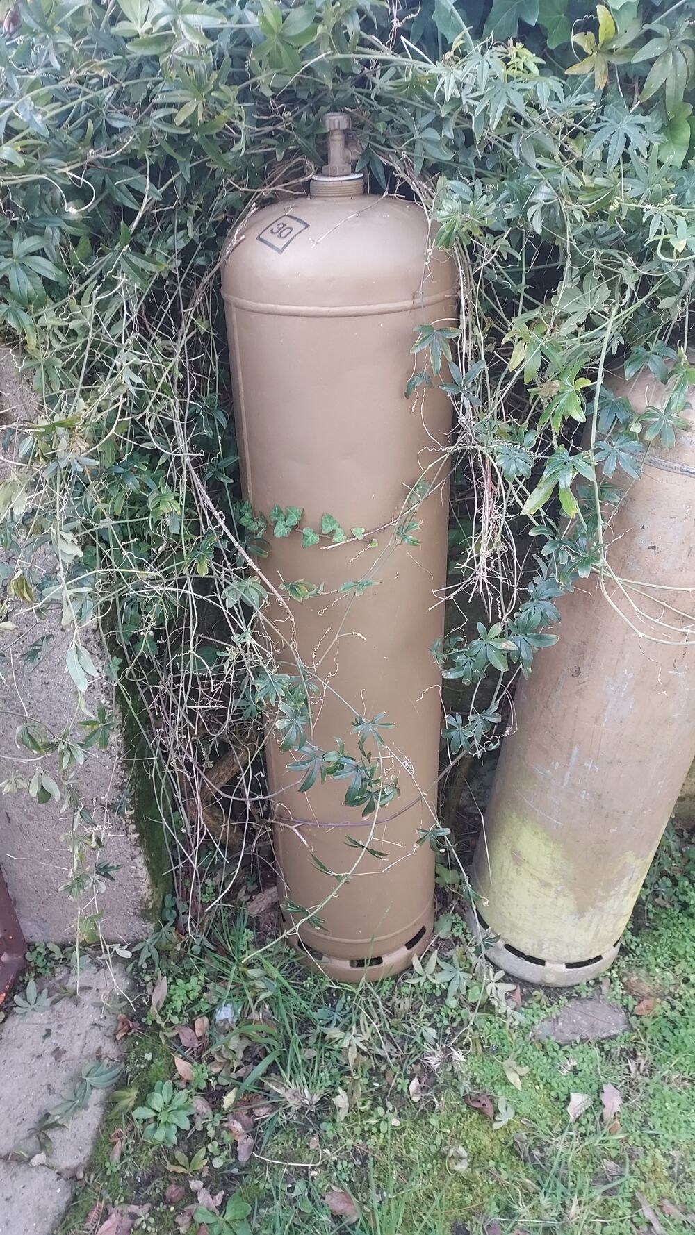  bouteilles de gaz 35 L Bricolage