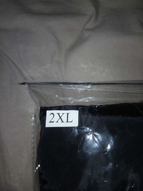 chien 10 Bourgoin-Jallieu (38)