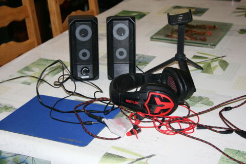 lot accessoires gamer 12 Roman�che-Thorins (71)