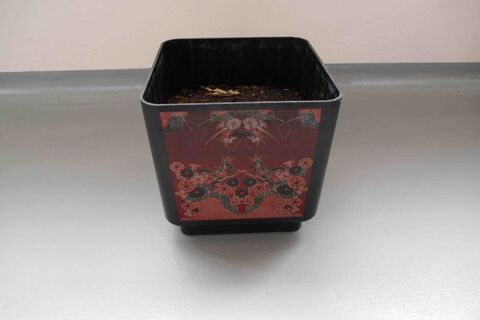 Bac Riviera  5 Rennes (35)