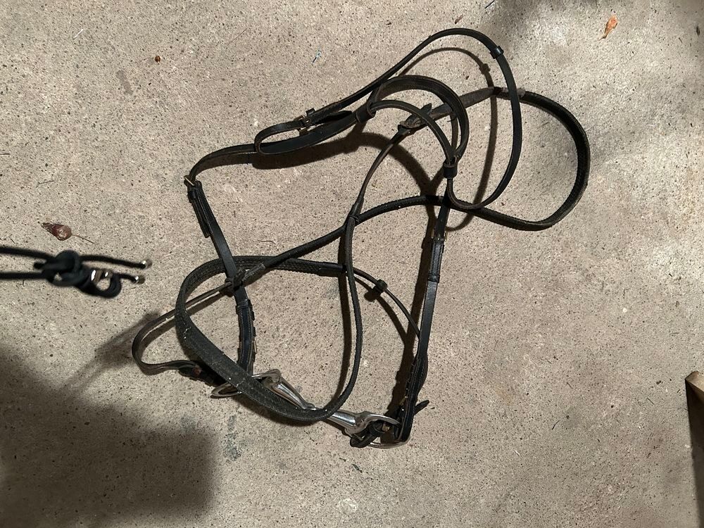   Lot de 2 filets  d'équitation  