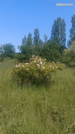  Terrain à vendre 9965 m² Méréglise
