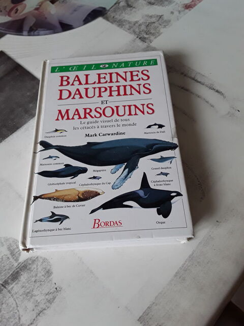 Baleines dauphins et marsouins  10 Combs-la-Ville (77)