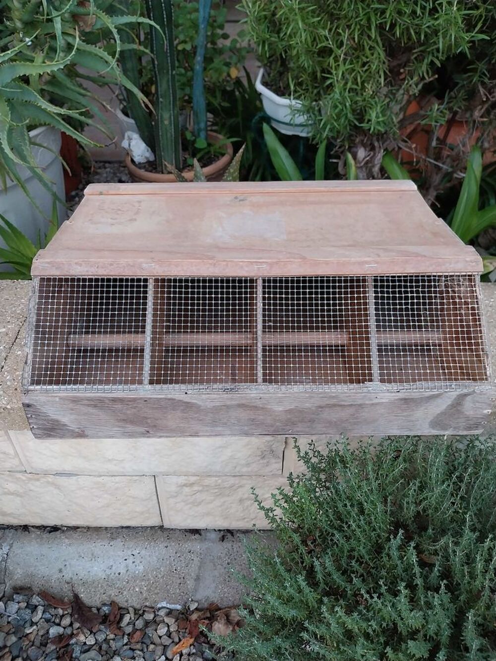 cage de transport pour animaux Bricolage