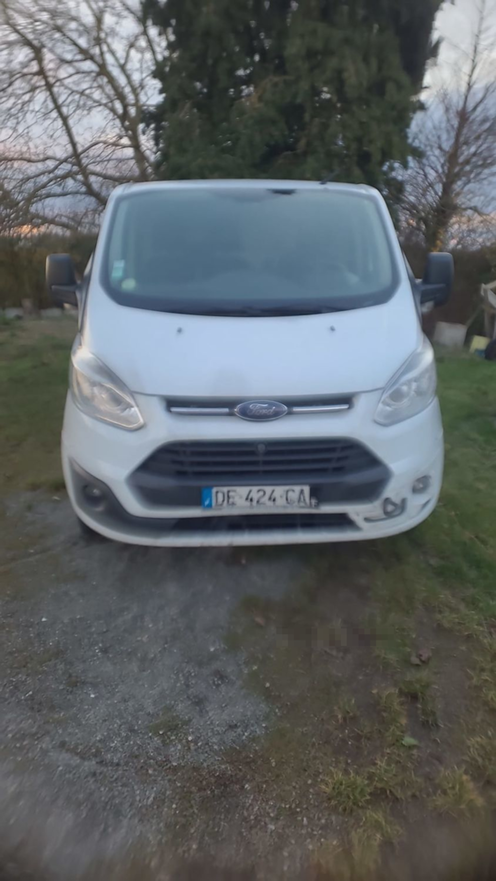 Transit Custom TRANSIT CUSTOM FOURGON 290 L2H2 2.2 TDCi 125 LIMITED 2014 occasion 45700 Villevoques